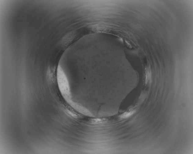 X0000072540239200608111821