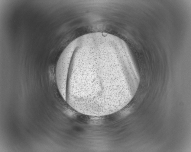 X0000072540240200608111821