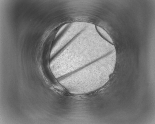 X0000072540241200608111820