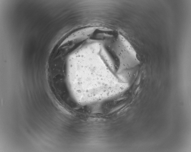 X0000072540242200608111820