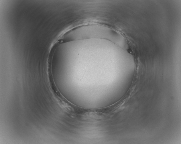 X0000072540244200608111820