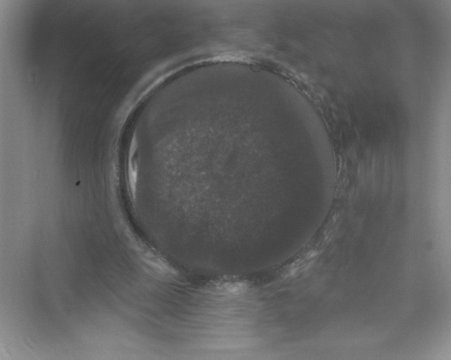 X0000072540247200608111820