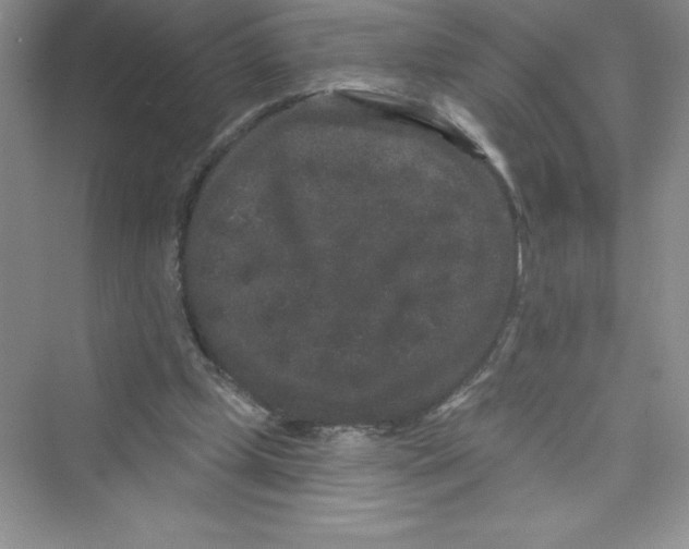 X0000072540249200608111820