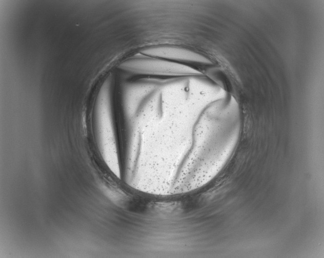 X0000072540251200608111820