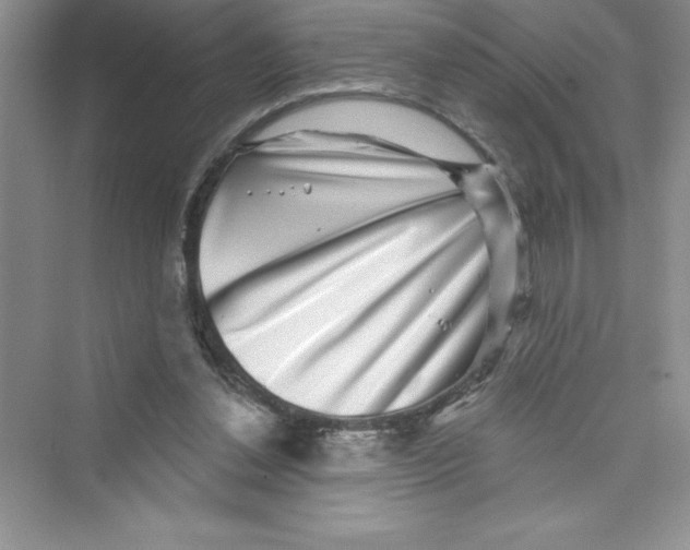 X0000072540252200608111820