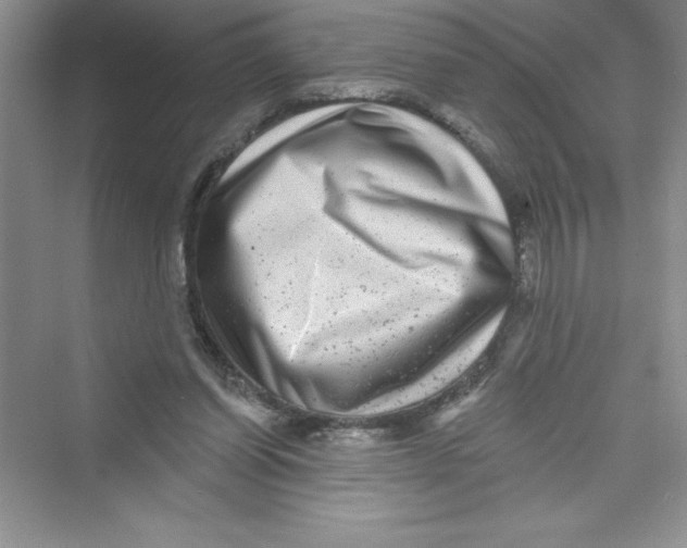 X0000072540254200608111820