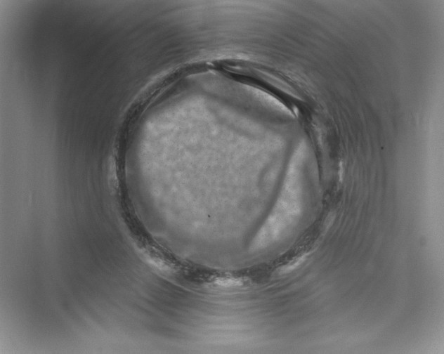 X0000072540256200608111820