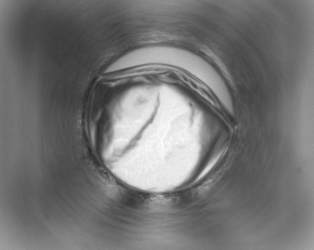 X0000072540257200608111820