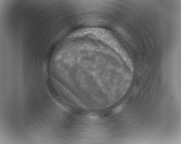 X0000072540258200608111820