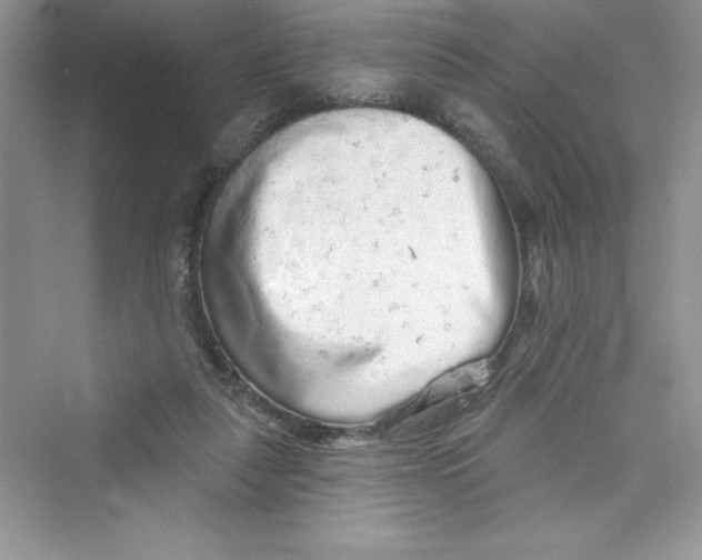 X0000072540259200608111820