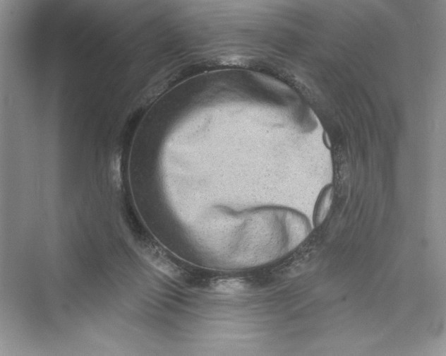 X0000072540262200608111820