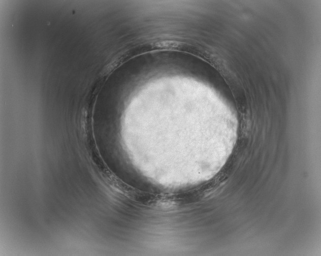 X0000072540263200608111820