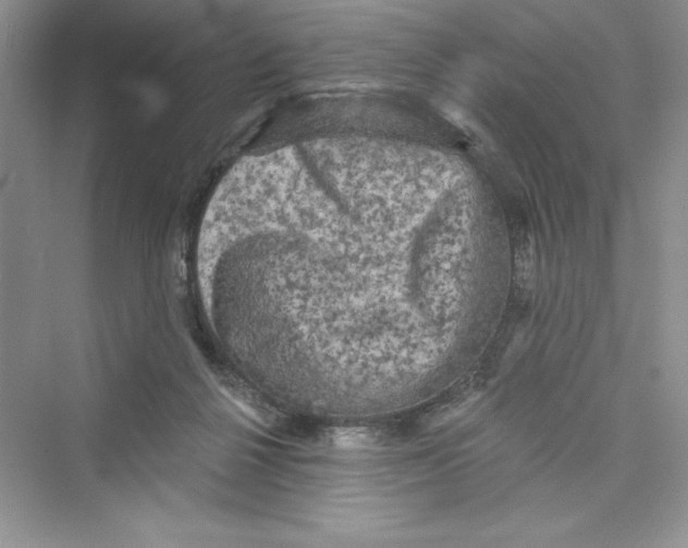 X0000072540264200608111820