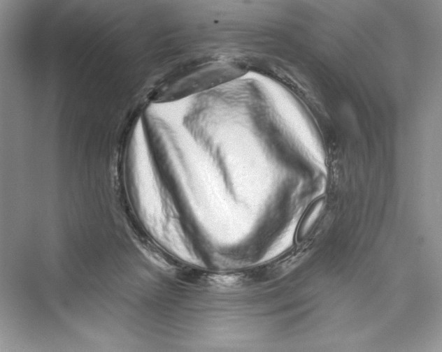 X0000072540265200608111820