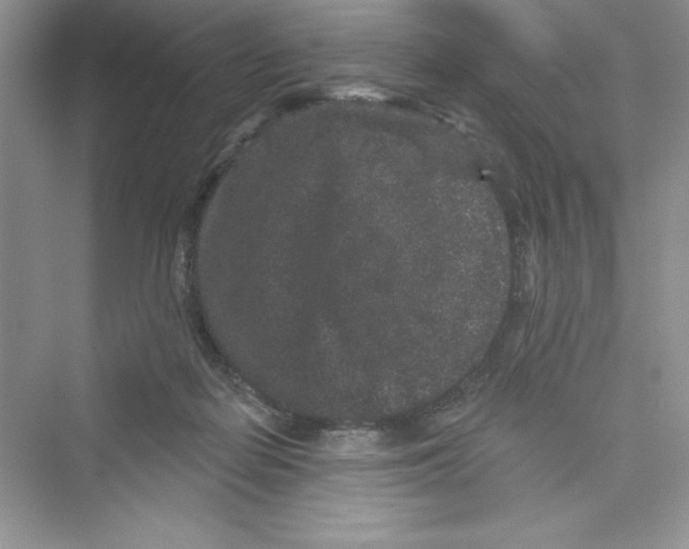 X0000072540266200608111820