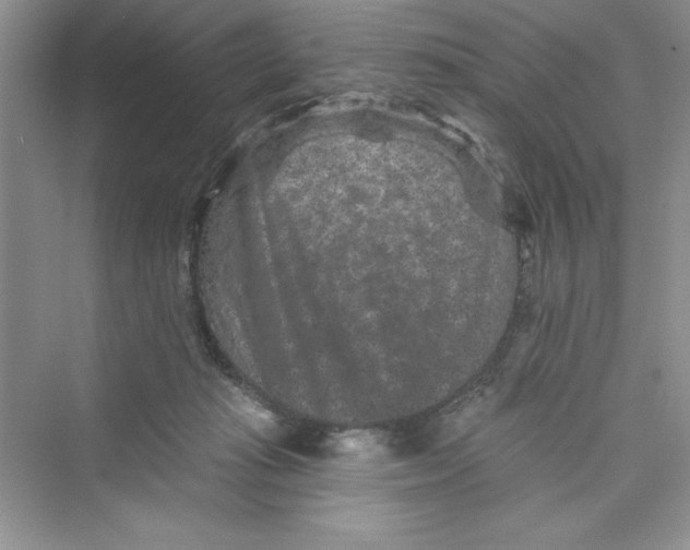 X0000072540269200608111820