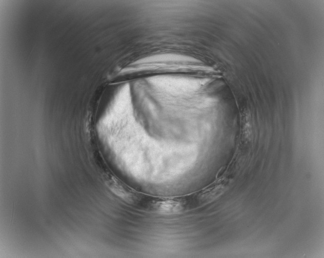 X0000072540275200608111821