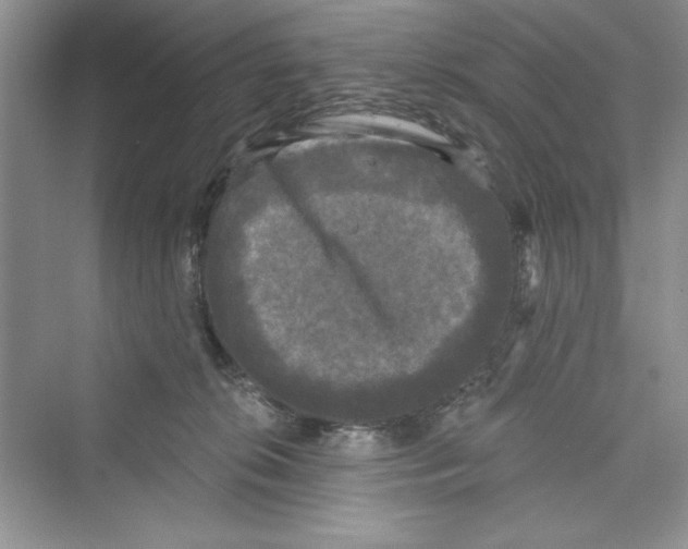 X0000072540276200608111821