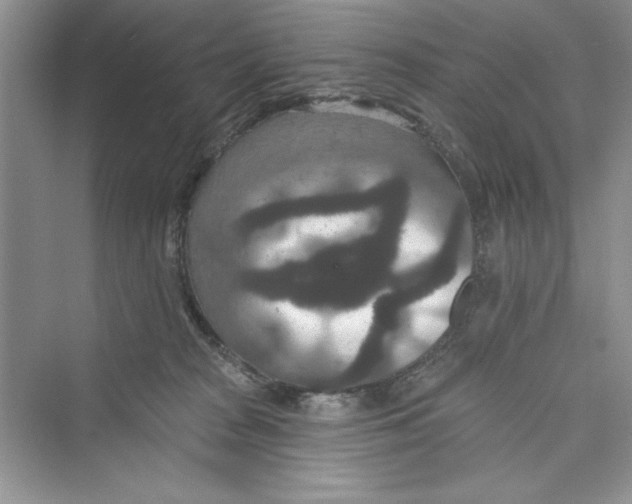 X0000072540277200608111821