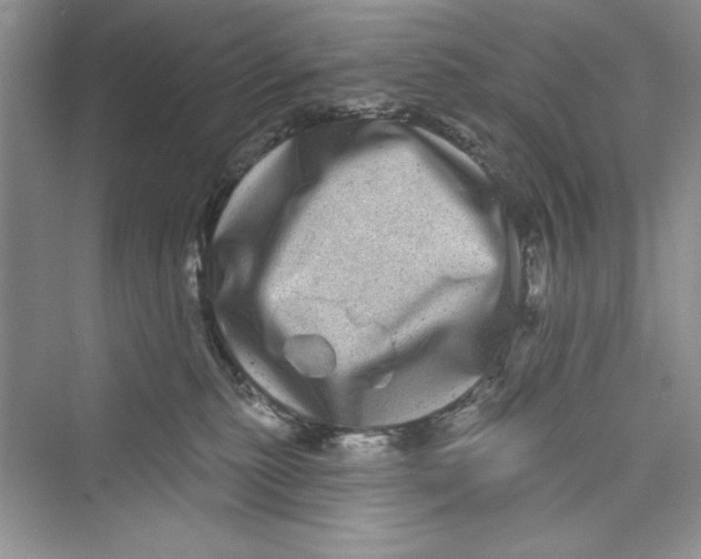 X0000072540279200608111821