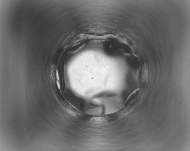 X0000072540280200608111821