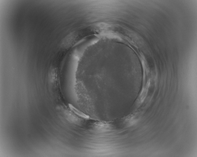 X0000072540284200608111821