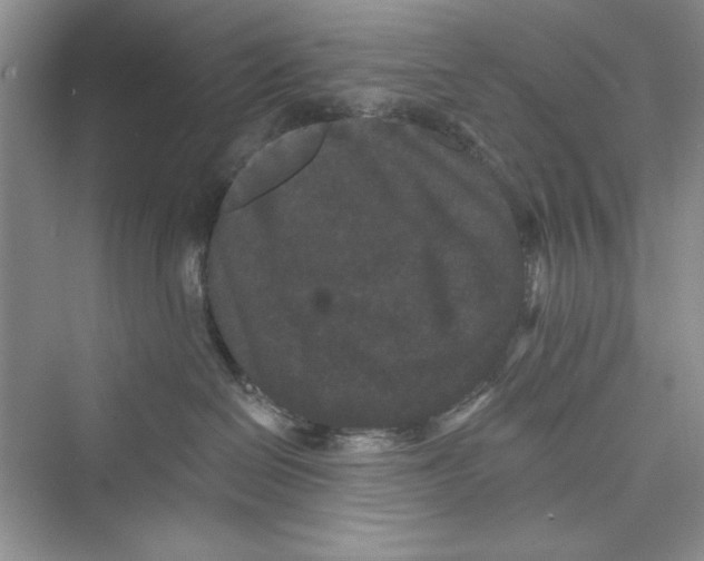 X0000072540286200608111821