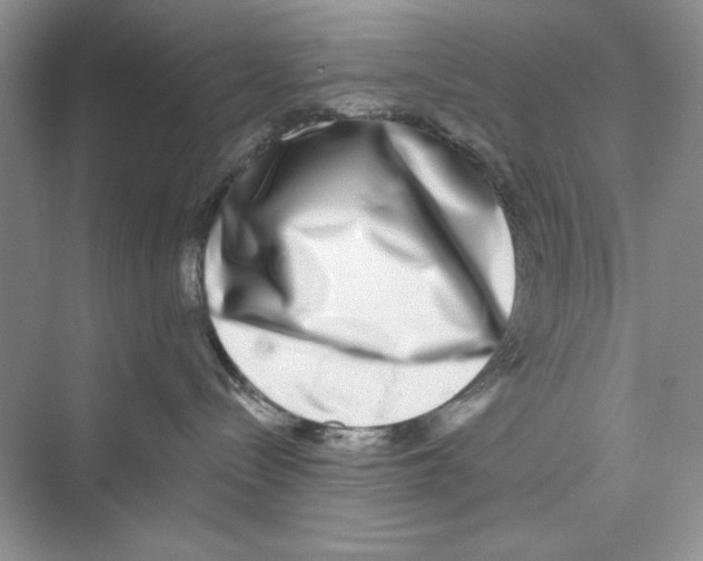 X0000072540288200608111821