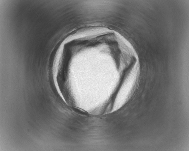 X0000072540290200608111820