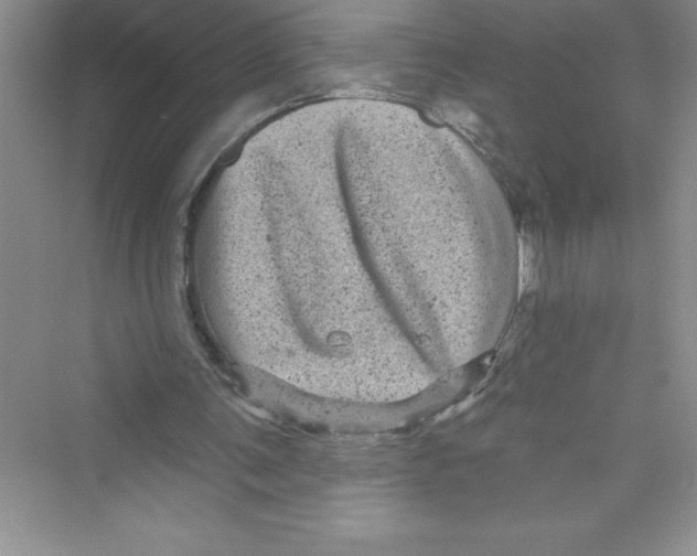 X0000072540291200608111820