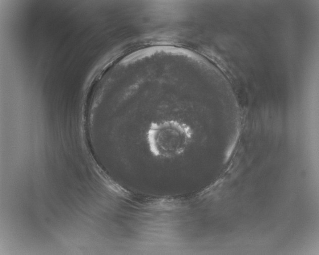 X0000072540293200608111820