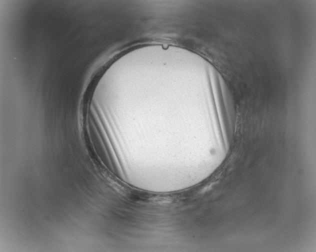 X0000072540294200608111820