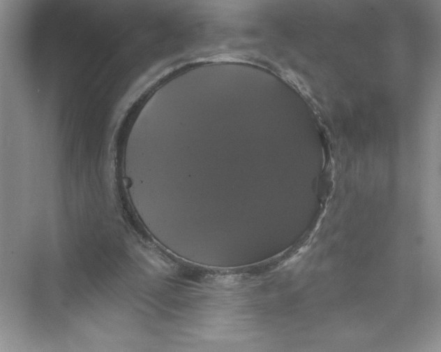 X0000072540295200608111820