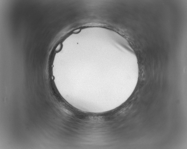 X0000072540296200608111820