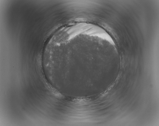 X0000072540297200608111820