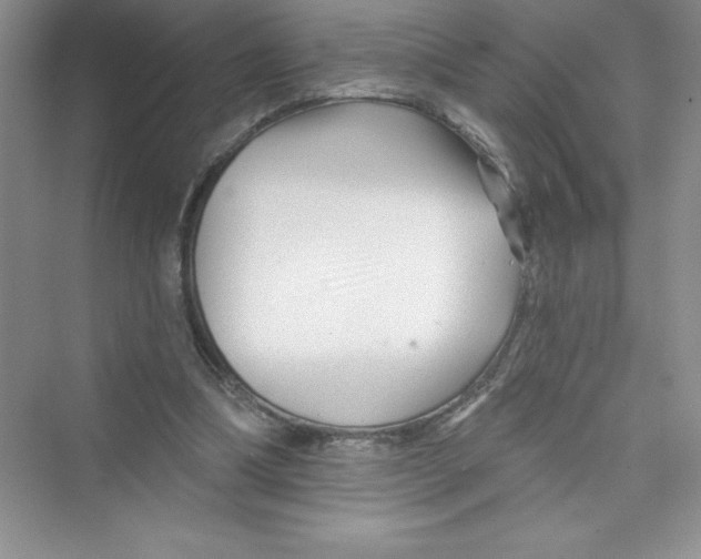 X0000072540298200608111820