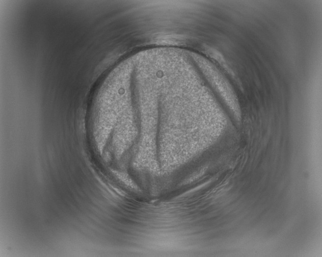 X0000072540299200608111820