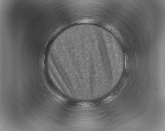 X0000072540300200608111820