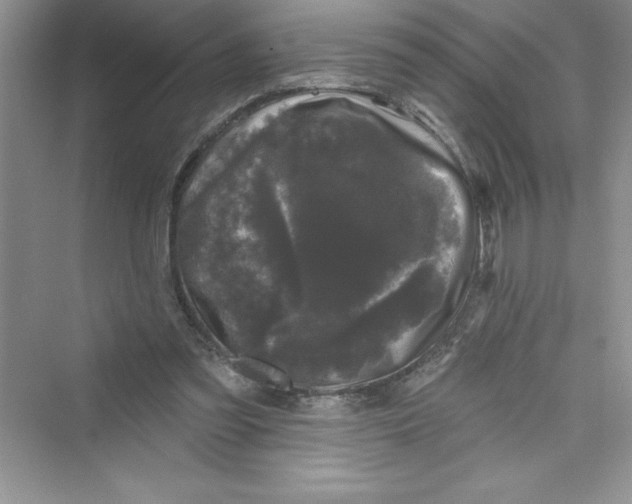 X0000072540301200608111820