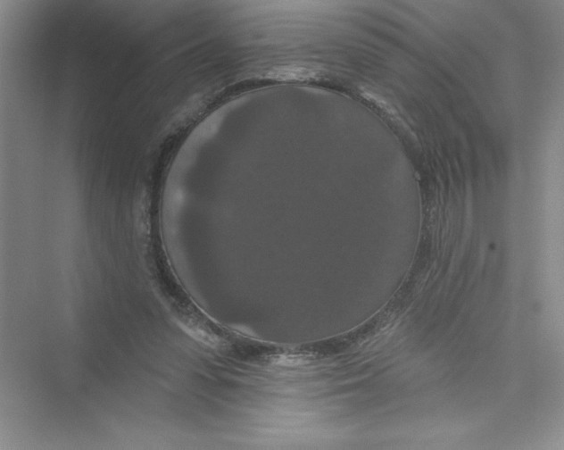 X0000072540303200608111820