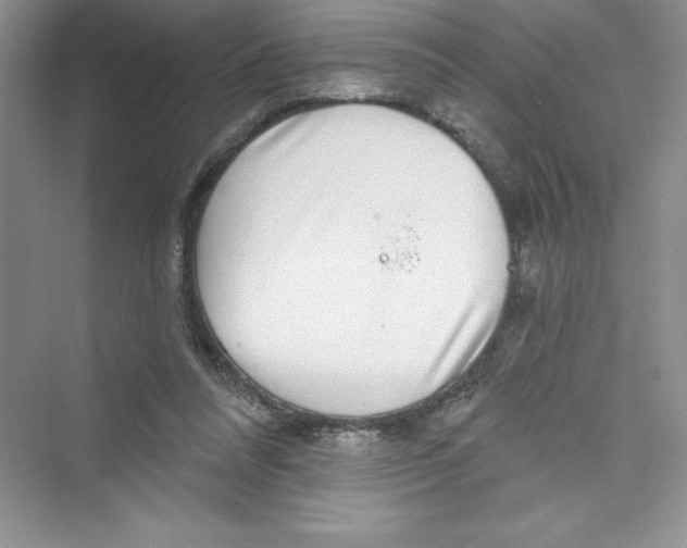 X0000072540304200608111820