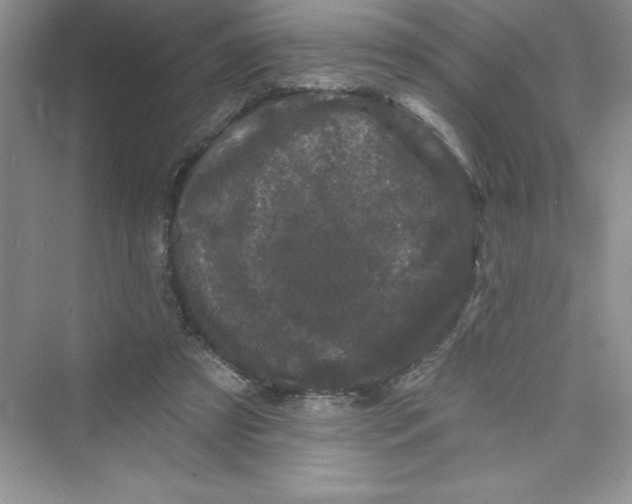 X0000072540305200608111820