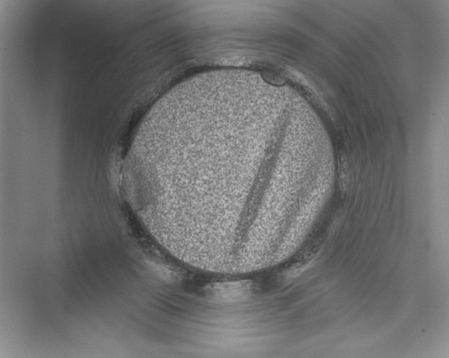 X0000072540307200608111820