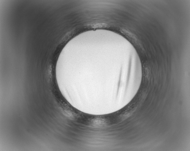 X0000072540308200608111820