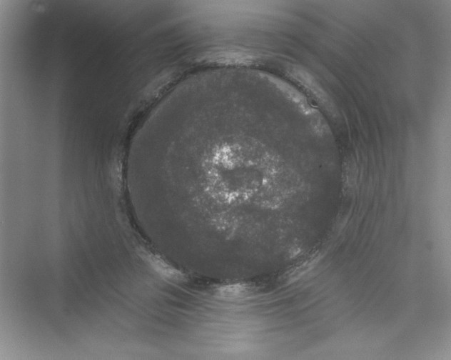 X0000072540309200608111820