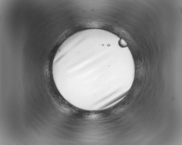 X0000072540312200608111820