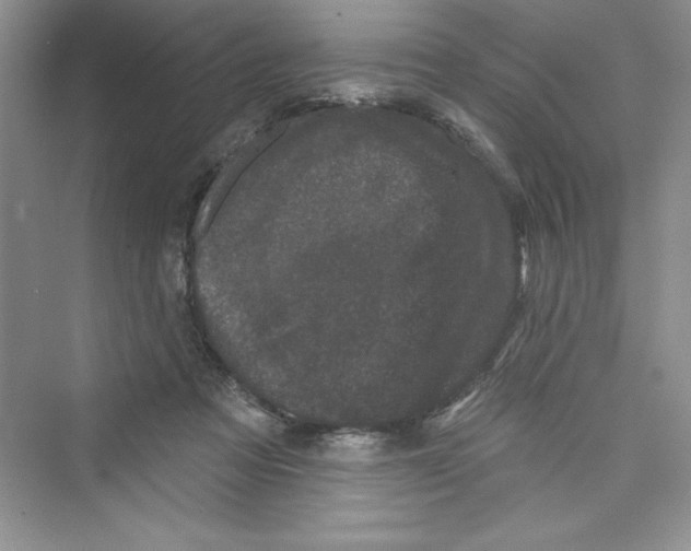 X0000072540313200608111820