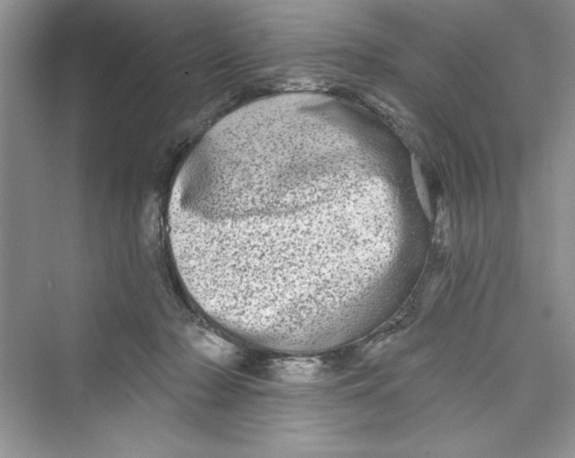 X0000072540318200608111819