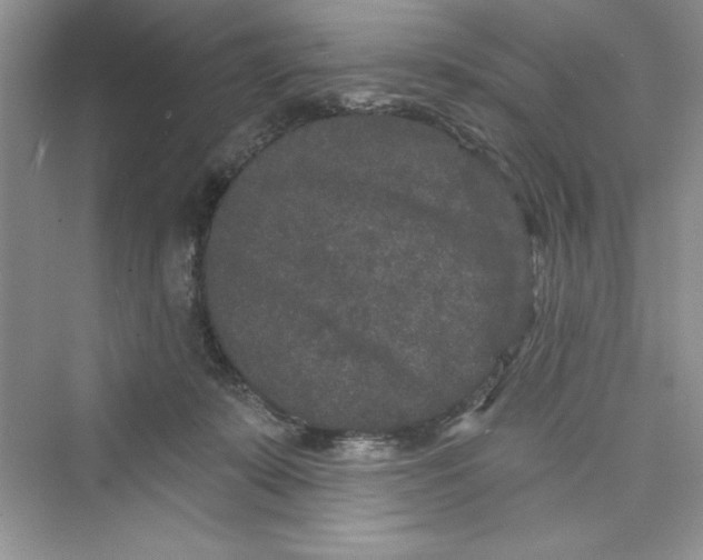 X0000072540319200608111819