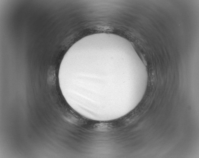 X0000072540320200608111819